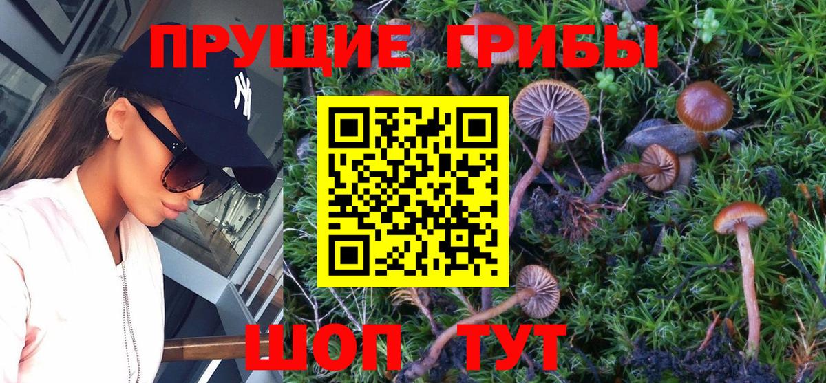 Псилоцибиновые грибы ЛСД Губаха